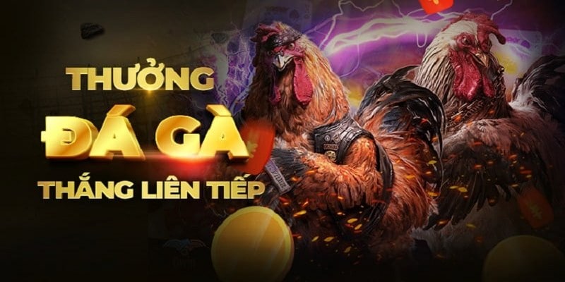 Giới thiệu về trò chơi đá gà king88